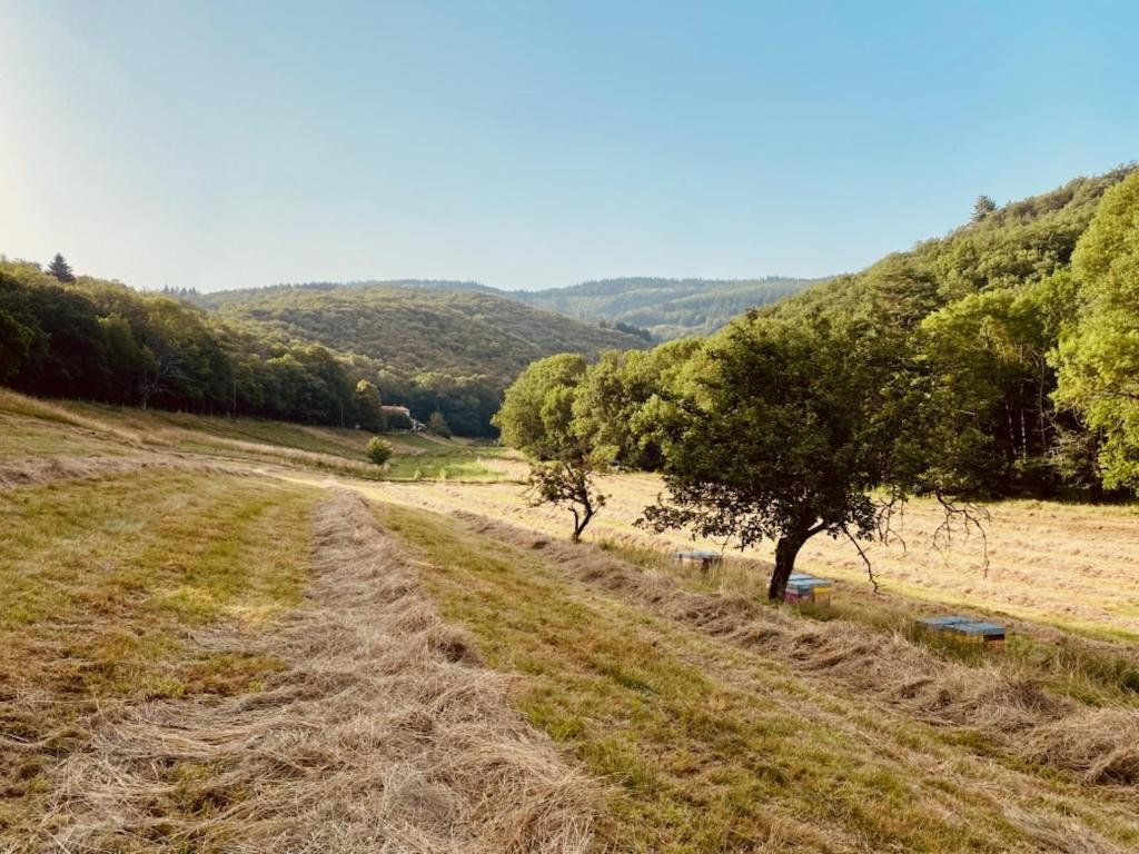 Nabat Le Haut, Chambre Et Table D'Hotes Courniou Экстерьер фото