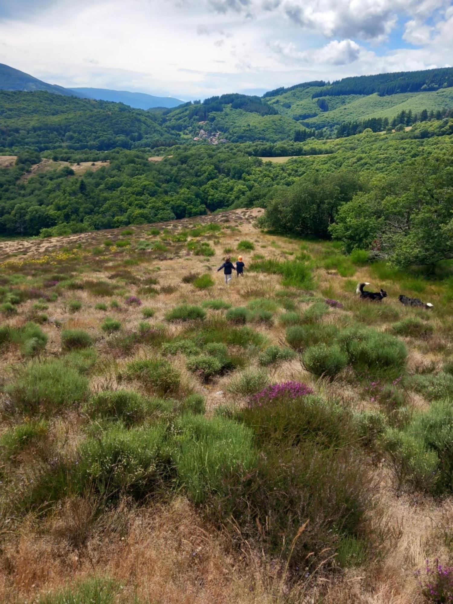 Nabat Le Haut, Chambre Et Table D'Hotes Courniou Экстерьер фото